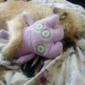 Meet your Posher, Evie